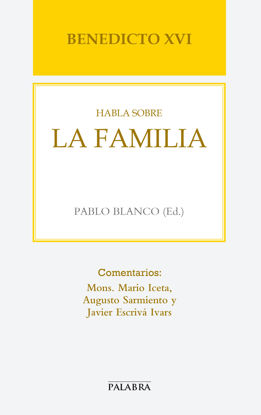 Foto de BENEDICTO XVI HABLA SOBRE LA FAMILIA #59